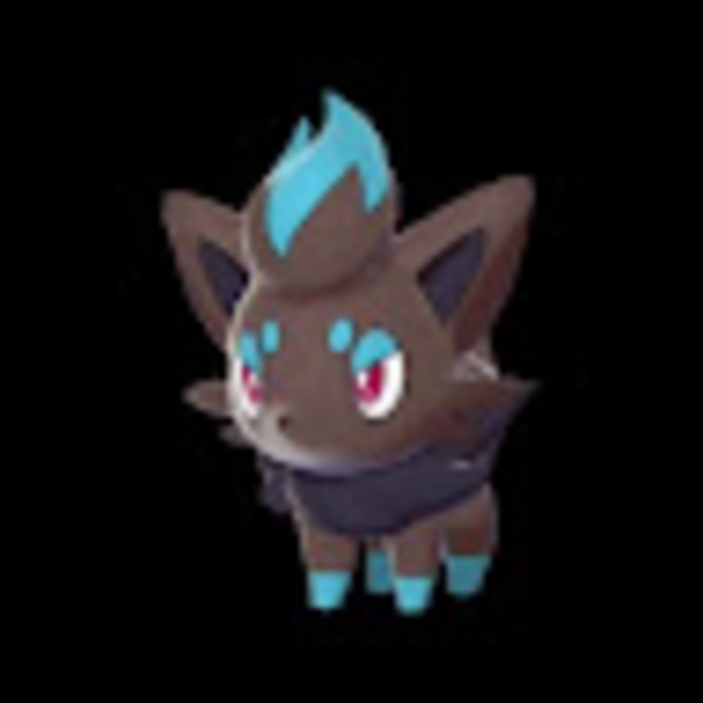 Meet your Posher, Dylan paquette